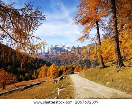 Aerial view of mountain path with autumn forest in swiss mountains. Pontressina, 30. Oct. 2021 Royalty-Free Stock Photo #2067692399