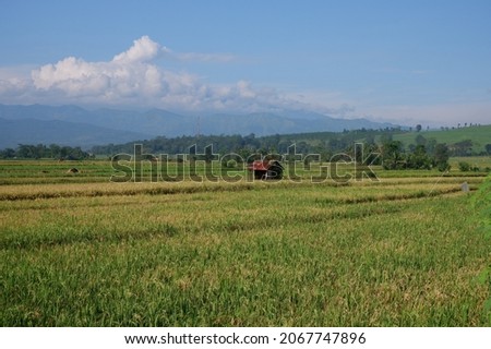 Landscapes, rice paddies or oriza sativa, mountains and sky