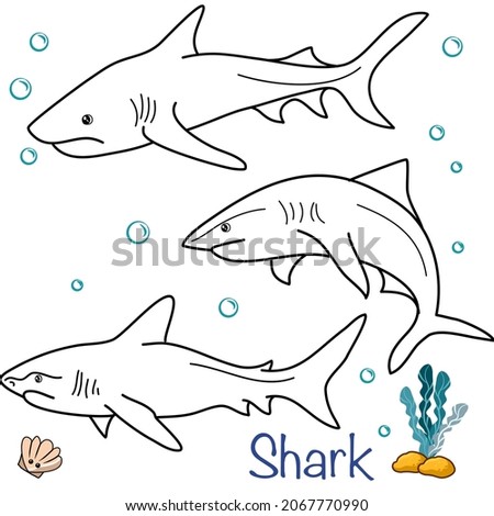 Shark Doodle Collection in Different Poses in Free Hand Drawing Vector Illustration Style
