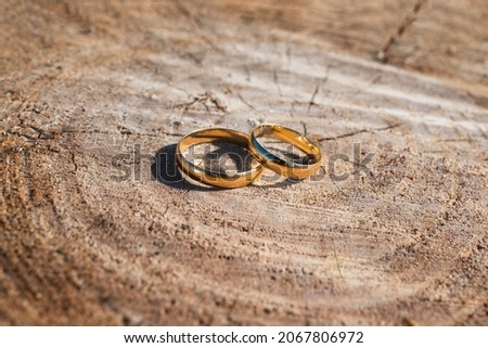 Close up of golden wedding rings on a natural tree stump