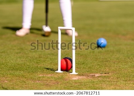 a young woman is playing croquet on a lawn Royalty-Free Stock Photo #2067812711