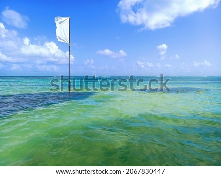 White flag flies in turquoise waters of the Caribbean Sea and tropical blue sky. White flag on pole indicating bathing allowed with caution. Maritime signaling and safety. French Antilles.