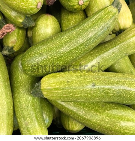 Macro photo zucchini. Stock photo vegetable zucchini  background