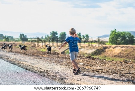 E little boy back view look far away want try catch goats move run. Healthy simple active life style joy, communicating with nature, Happy childhood, clean products consumption. Pasture road field