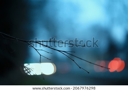 branches without leaves evening autumn, abstract seasonal background sadness