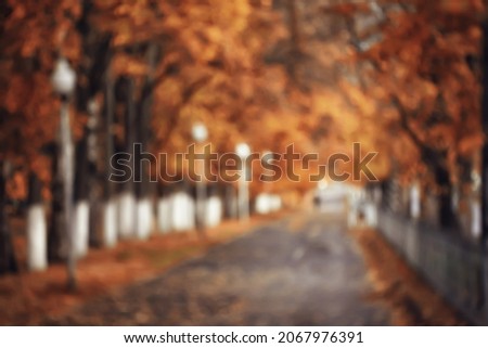 abstract background texture of autumn forest, yellow trees pattern landscape view