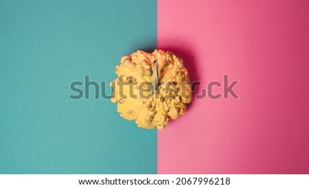 Beautiful Isolated Yellow Pumpkin, That Looks Like the Sun, Flat Lay On a Pink and Blue Coloured Background.