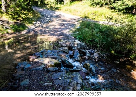 The road to Varciorog waterfall, Arieseni area, Alba county, Romania.