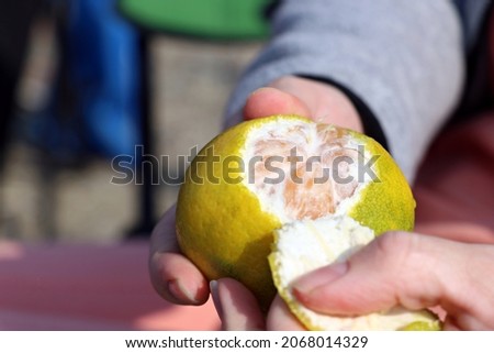 Woman's hand peeling delicious tangerines
