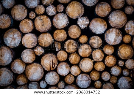 Forestry, raw material wood or timber trade concept. Freshly felled wood is piled up in a forest in Saxony (Germany).