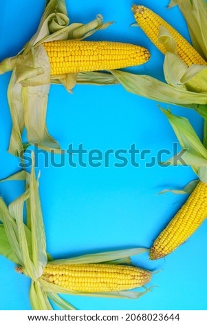 Popcorn in a bowl with corn cobs on blue background, top view. Copyspace. Vertical photo
