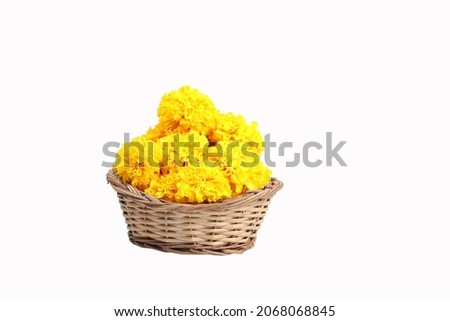 Yellow Marigold Flowers In Bamboo Basket Called Puja Phool Ki Tokri Or Dalia For Decoration And Offering To Hindu God During Festivals viz. Shubh Deepawali, Dussehra, Navratri, Durga Pooja Etc.