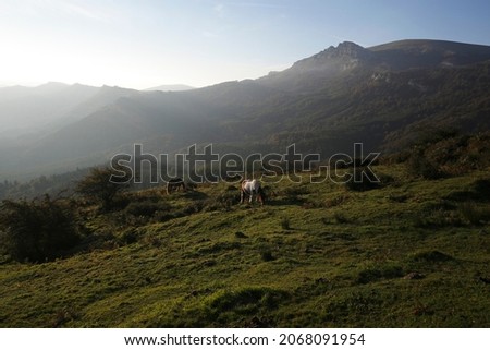 Countryside of Basque Country in an autumn morning