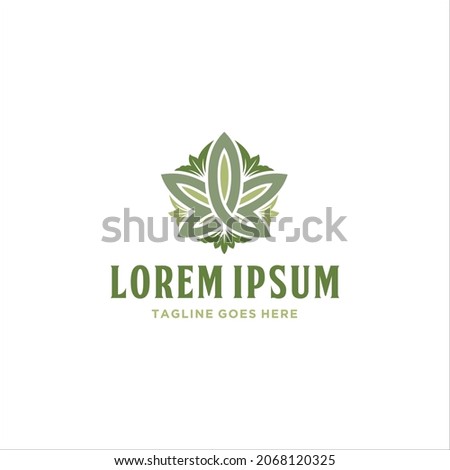 Cannabis Leaf Ornamental Logo Design Vector Image
