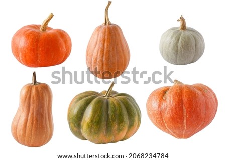 Set of different pumpkins isolated on a white background. Different varieties. Orange, green and gray pumpkin. Autumn harvest. Halloween and Thanksgiving food. Royalty-Free Stock Photo #2068234784