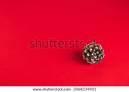 Minimalistic festive christmas red background with single pine cone with white edges. Copy space view. greeting card template.