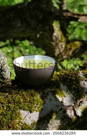 Chinese tea cerermony in the garden. Clay cup on a mossy apple tree branch. 