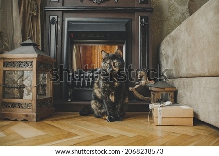 A tortoiseshell cat is sitting on the floor near an electric fireplace.