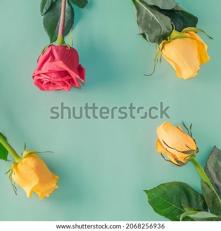 Square floral background with multicolored roses. Scattered blooming roses on a bluish green background