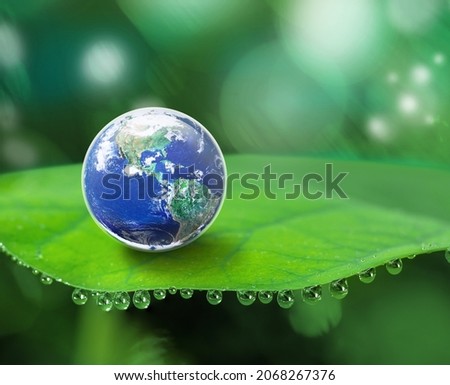 Earth sit on green leaf  with a lot of water drops on blur light background, Sustainable development for save green world  concept, Elements of this image furnished by NASA