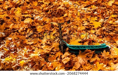 scooter lying in the autumn foliage. High quality photo