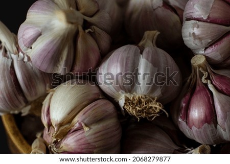 garlic picture on a black background