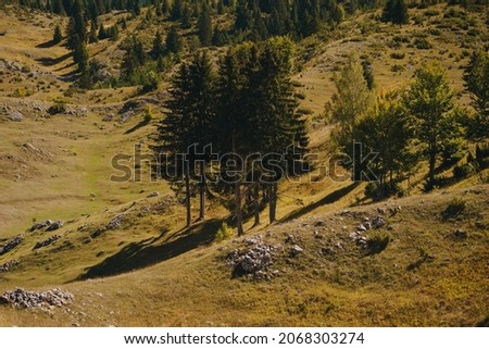 Amaizing  view on Durmitor, prokletje mountains, Montenegro, Balkans, Europe. Bright summer view from hike moutains. . The road near the house in the mountains. Adventure