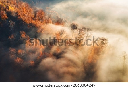 Aerial view of mountain forest in low clouds at sunrise in autumn. Hills with red and orange trees in fog in fall. Beautiful landscape with mountain, foggy forest, sunbeams. View from above of woods Royalty-Free Stock Photo #2068304249
