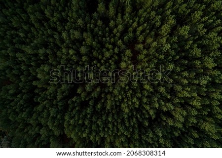 Aerial top view of misty forest the mountains. Drone photography. Rainforest ecosystem and healthy environment concept.