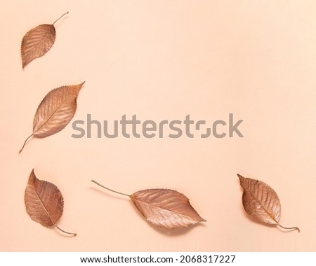 Golden fall concept. Red gold coloured autumn leaves on soft pastel pink background. Minimalistic fall composition. Nature flat lay idea with copy space.