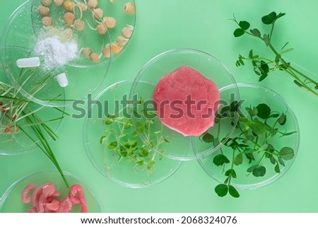 Cultivated steak, meat from the plant stem cell, New food innovation, no killing. Laboratory grown meat background Royalty-Free Stock Photo #2068324076