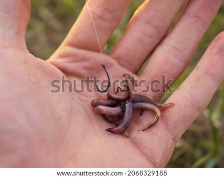 Fisherman baits earthworm on fishing hook by the river. Royalty-Free Stock Photo #2068329188