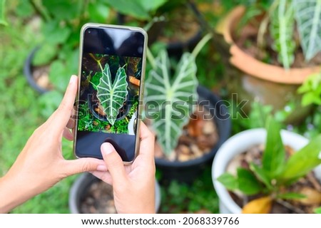 She was using his phone to take pictures of the plants to check the integrity. before posting for sale on social media