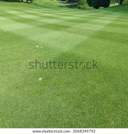 Stripe lawn diamond cut fairway in golf corse