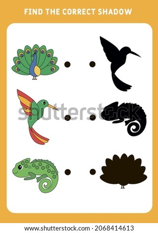 Find the correct shadow. Set 
 - Peacock,  Chameleon and hummingbird. Educational matching game for kids. Worksheet for preschoolers. Vector illustration.