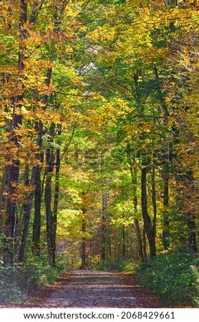 Upper Michigan Fall Colors, Beautiful foliages and waterfalls.