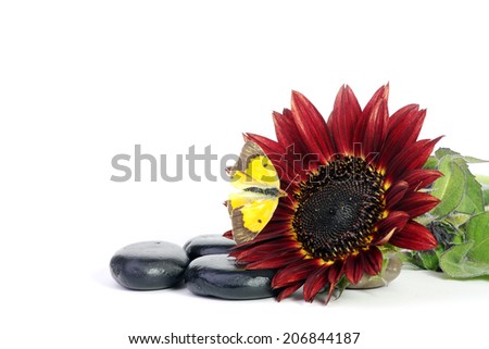Sunflower and butterfly black stones # 2