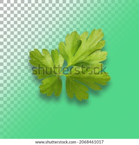 Parsley on transparent background close up. Royalty-Free Stock Photo #2068461017