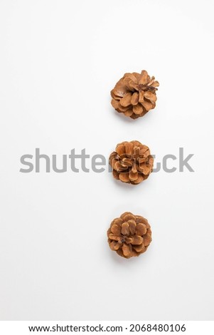Christmas composition. Nature pine cones on white background. Christmas, winter, new year concept. Flat lay, top view