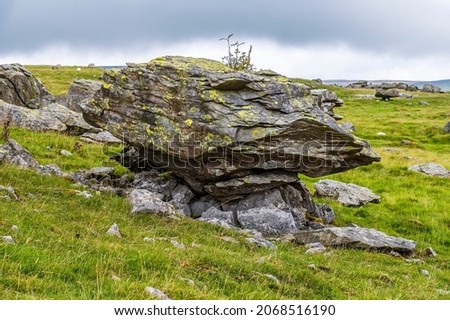 A close up view showing a glacial erratic deposited on the limestone pavement on the southern slopes of Ingleborough, Yorkshire, UK in summertime