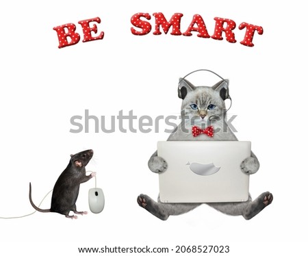 An ashen cat in earphones sits and works with a laptop. A rat holds a computer mouse. White background. Isolated.