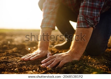 Male hands touching soil on the field. Expert hand of farmer checking soil health before growth a seed of vegetable or plant seedling. Business or ecology concept. Royalty-Free Stock Photo #2068538192