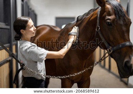 Female horseman combing her brown Thoroughbred horse in stable. Concept of animal care. Rural rest and leisure. Idea of green tourism. Young smiling european woman wearing uniform Royalty-Free Stock Photo #2068589612