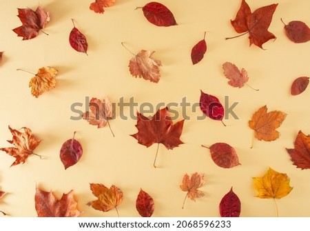 pattern made with red, yellow and brown autumn leaves on cream background. Vintage retro autumn abstract art