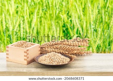 Wheat or Triticum aestivum wheat kernel on wood table nature background. Royalty-Free Stock Photo #2068608371