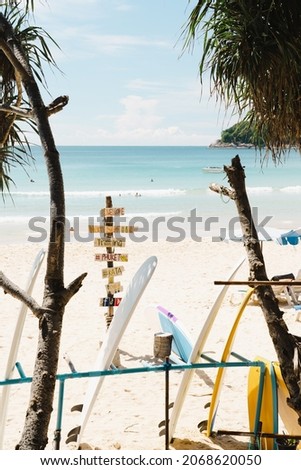 Surfboard and palm tree on beach colorful sky on summer holidays.Surf on sea beach.Tourism relax umbrella on island famous beach.Sunny or sunset.