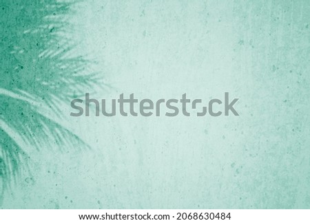Colored cement texture wall with leaf plant shadow background.