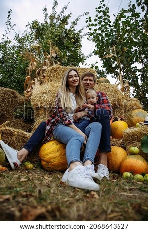 family in identical shirts hugs and plays against the background of hay and pumpkins in the garden