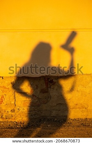 Shadow of an unidentifiable feminine silhouette holding a camera projected on an old wall by warm sunset light