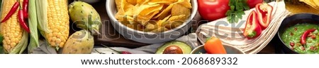 Mexican dishes and snacks assortment on light gray background. Cuisines of the world concept. panorama